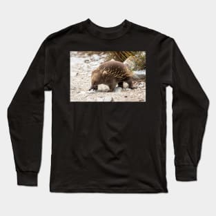 Echidna, Cradle Mountain, Tasmania Long Sleeve T-Shirt